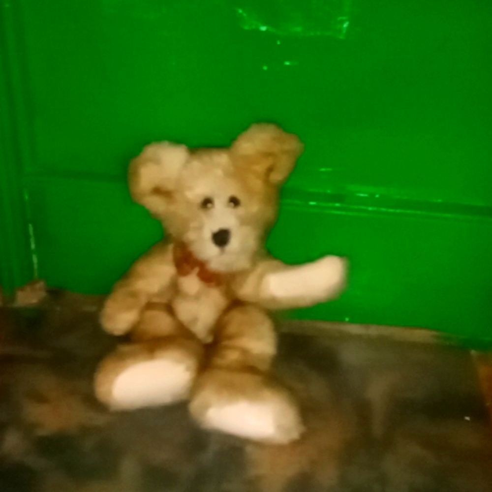 Teddy - Picture 2 of 2